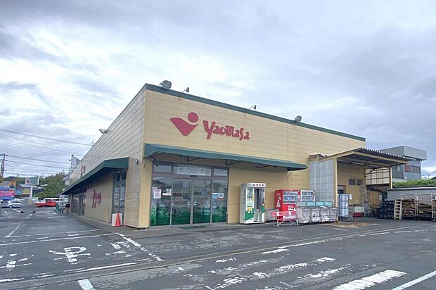 ヤオマサ 大磯店まで約700m（徒歩9分）