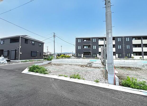 現地写真です。