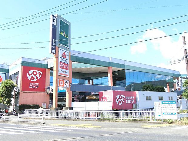 ロピア 開成店まで約630m(徒歩8分)