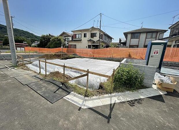 現地写真です。