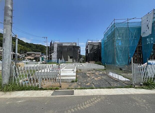 現地写真です。