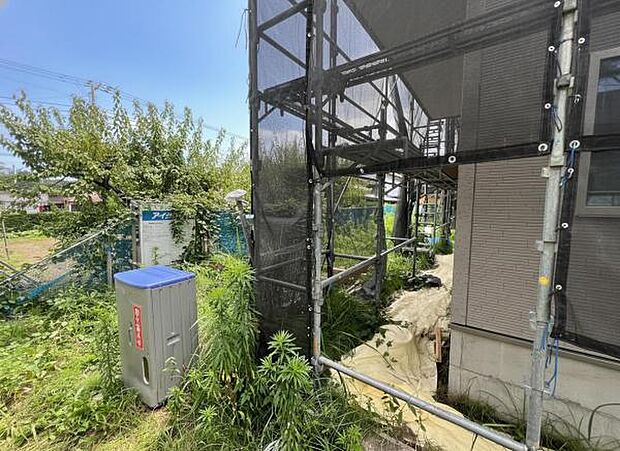 現地写真です。
