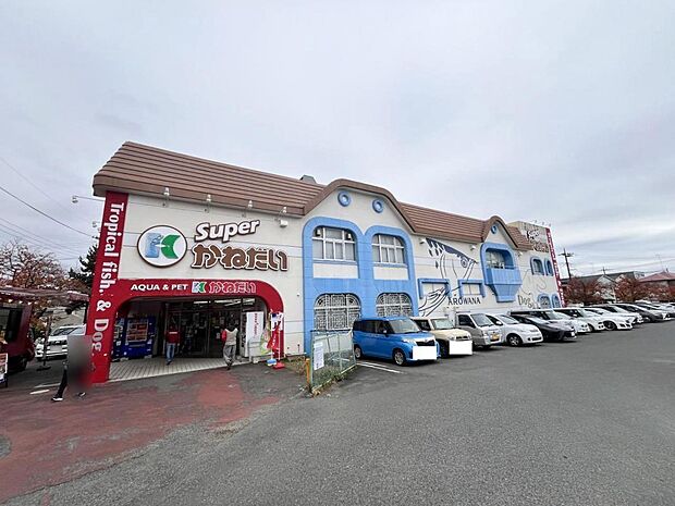 かねだい 伊勢原店まで約1370m(徒歩18分)