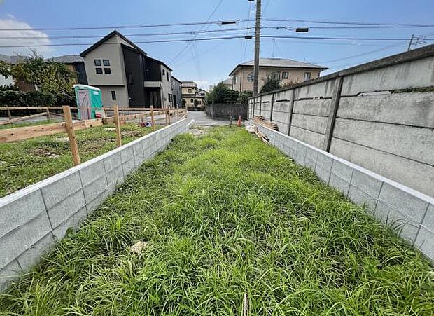 現地写真です。