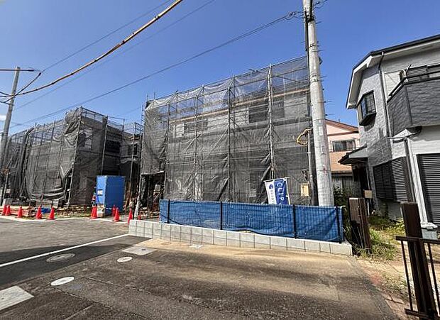 現地写真です。