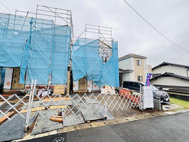 現地写真です。