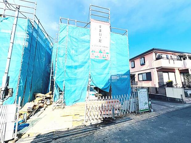 現地写真です。