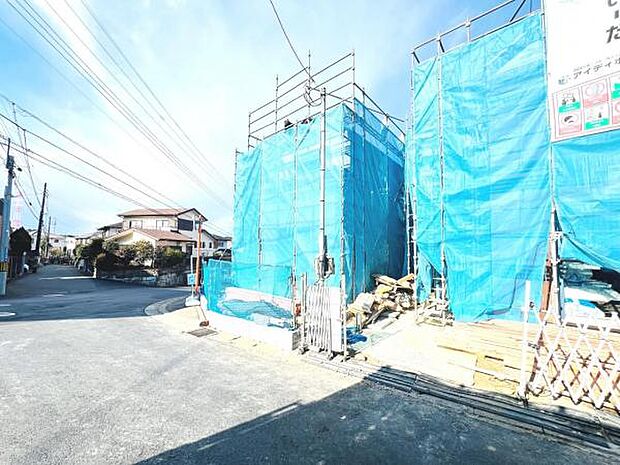 現地写真です。