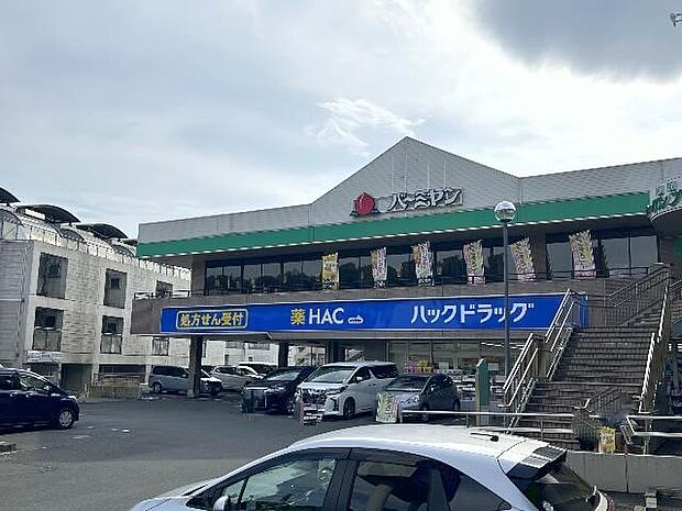 ハックドラッグ緑園都市店まで約1690m(徒歩22分)