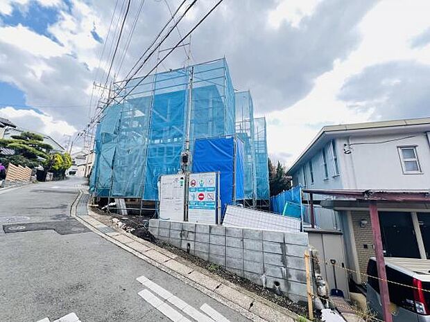 現地写真です。