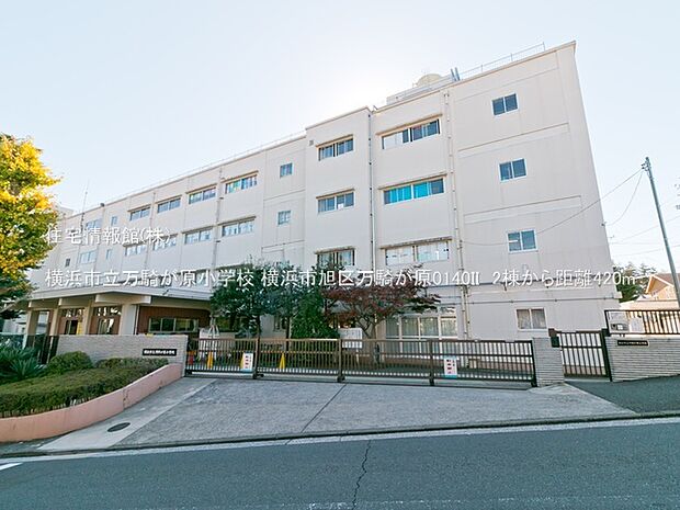 横浜市立万騎が原小学校まで約420m（徒歩6分）