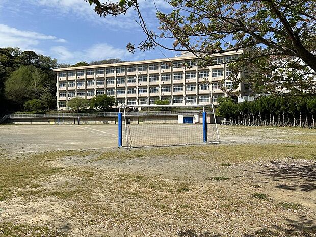 三浦市立旭小学校まで約740m(徒歩10分)