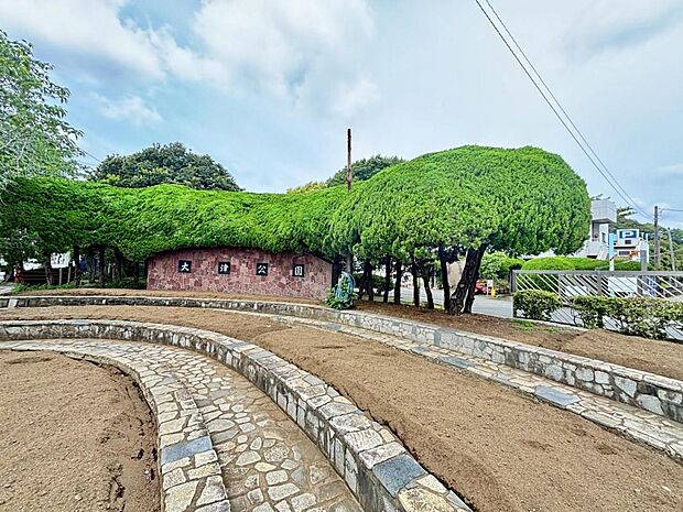 大津公園まで約560m(徒歩7分)