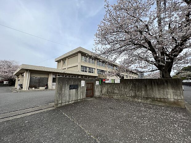 横須賀市立神明小学校まで約1200m(徒歩15分)