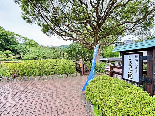 横須賀しょうぶ園まで約300m(徒歩4分)
