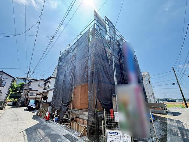 現地写真です。