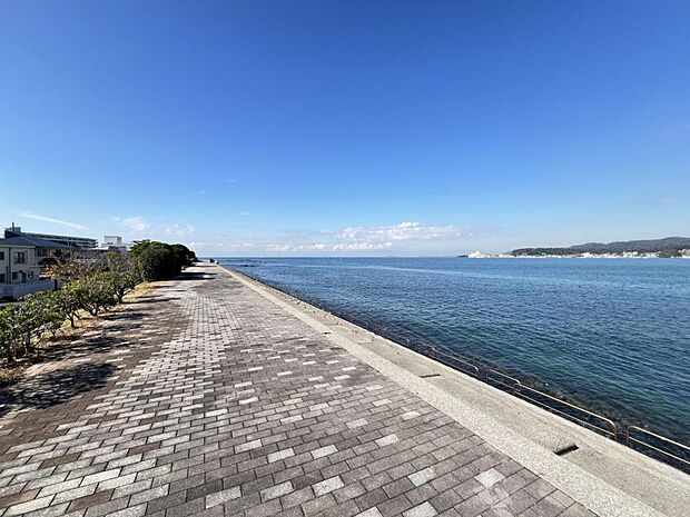 遊歩道まで約50m（徒歩1分）