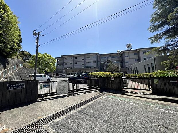 横須賀市立小原台小学校まで約240m（徒歩3分）