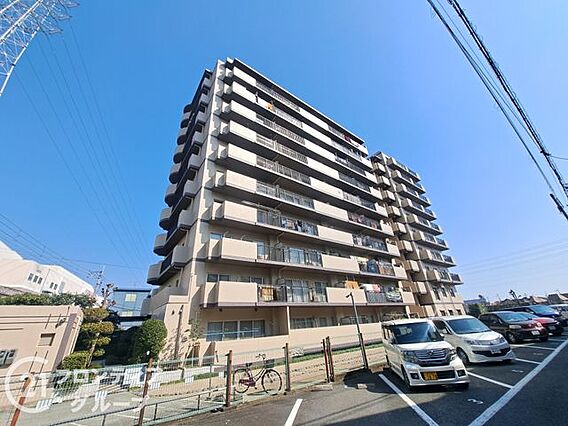 はじめてのマイ...