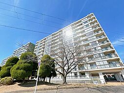 嵐山ロイアルハイツ第3号棟　3-205