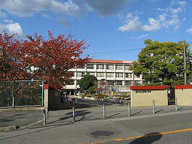 【小学校】豊中市立野畑小学校まで801ｍ