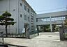 周辺：【小学校】大津小学校まで803ｍ