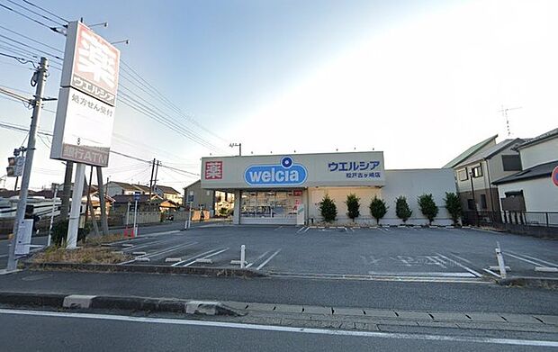 ウエルシア松戸古ケ崎店（1700m）