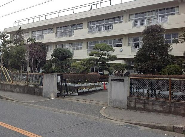 岩木小学校（95m）