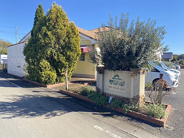 緑野クリニック（140m）