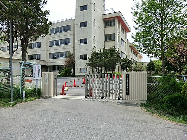 並木小学校(400m)