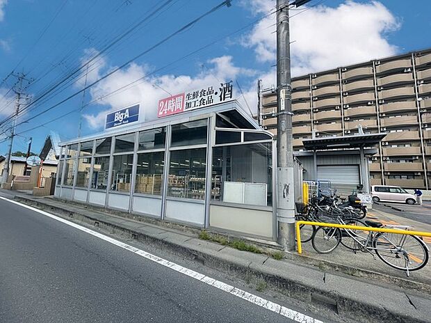 ビッグエー取手白山店（1100m）