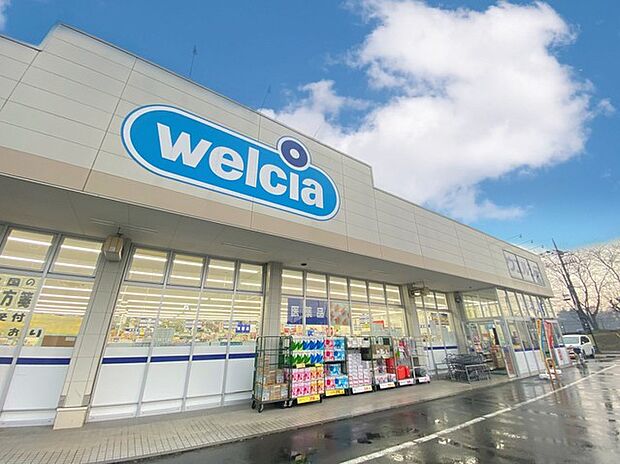 ウエルシア 竜ケ崎長山店(1100m)