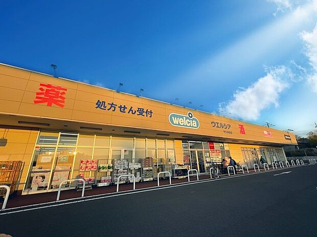ウエルシア牛久刈谷店（350m）