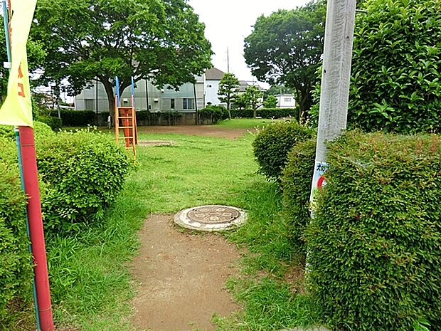 つつじヶ丘北公園（450m）