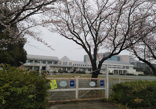 高花中学校(750m)