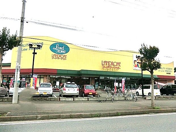 ランドロームジャパン・フードマーケットニュータウン南店（1200m）
