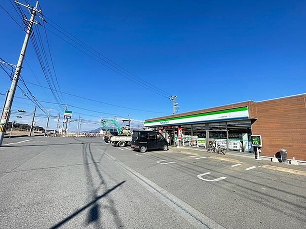 ファミリーマートつくば桜金田店(1100m)