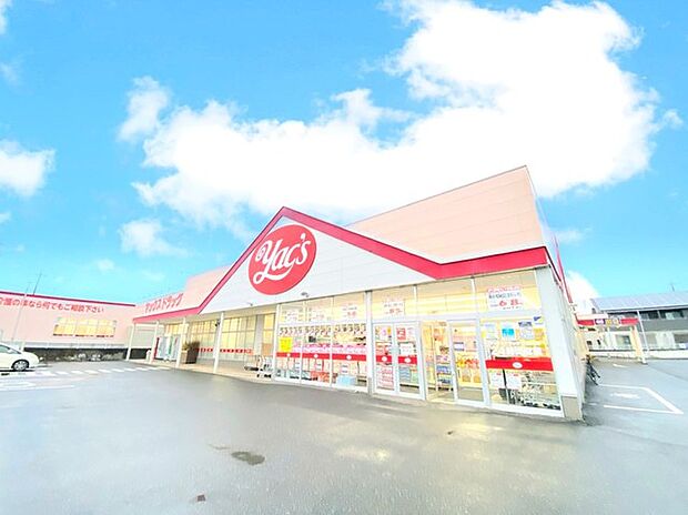 ヤックスドラッグ成田店（1000m）