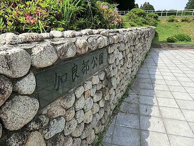 加良部台近隣公園 （800m）