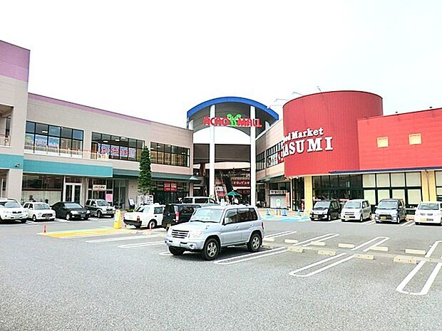 アクロスモール守谷店（2500m）