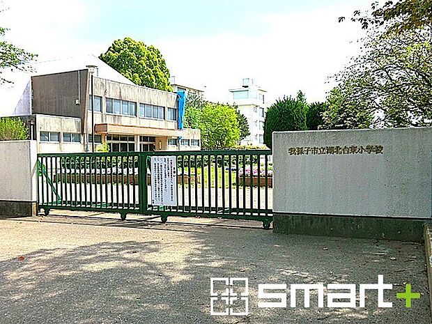 湖北台東小学校（80m）