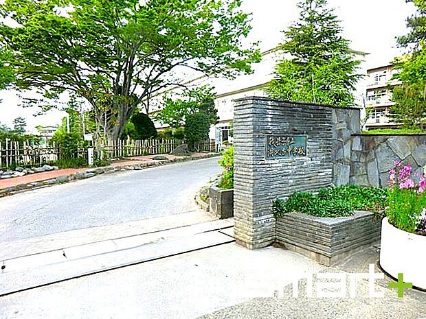 湖北台中学校（850m）