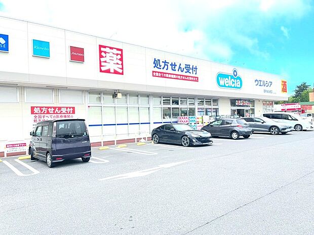 ウェルシア取手ゆめみ野店（1070m）