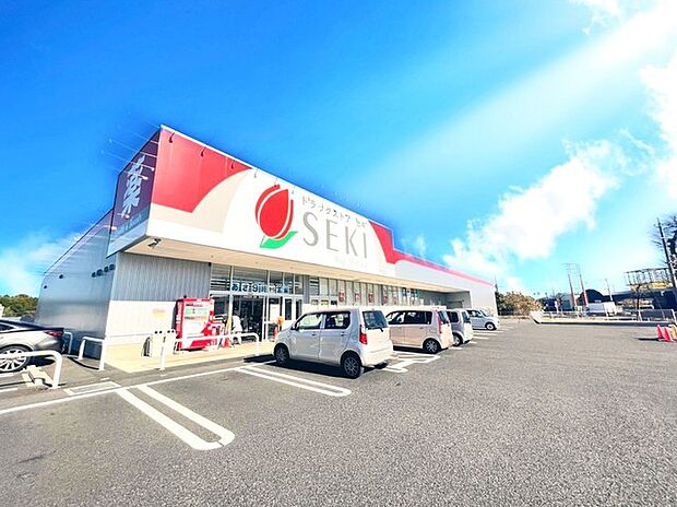 ドラッグストアセキ阿見店（1300m）
