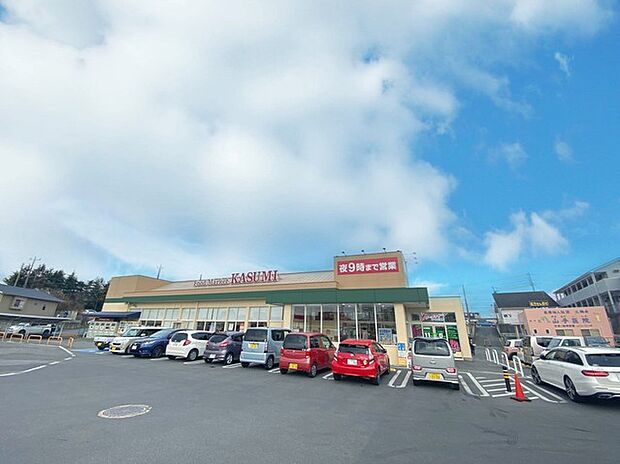 カスミ高津店(1300m)