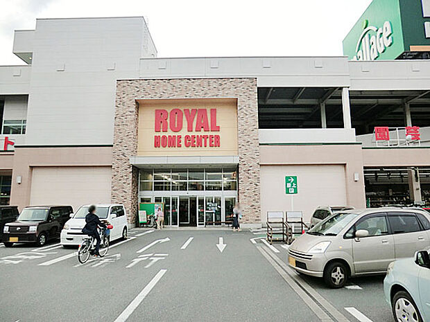 ロイヤルホームセンター柏店（1000m）