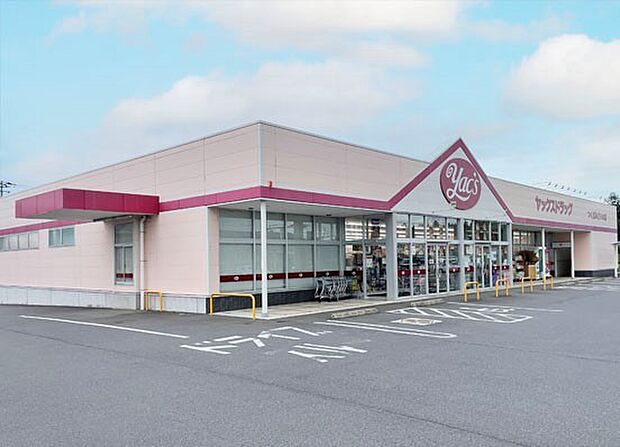 ヤックスドラッグつくばみどりの店(4100m)