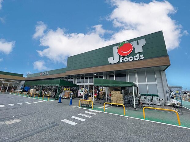 ジョイフーズ 関宿次木店(1100m)