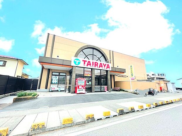 エコスTAIRAYA宝珠花店（1180m）