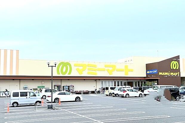 マミーマート柏根戸店(1000m)